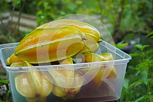 fresh starfruit or carambola (Averrhoa carambola)