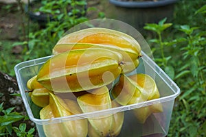 fresh starfruit or carambola (Averrhoa carambola)