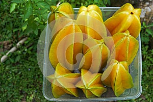 fresh starfruit or carambola (Averrhoa carambola)