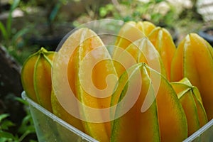 fresh starfruit or carambola (Averrhoa carambola)