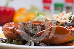 Fresh Steam red crab