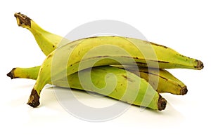 Fresh still unripe plantain (baking) bananas