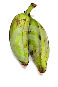 Fresh still unripe plantain baking bananas on a white background