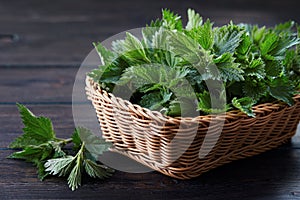 Fresh stinging nettle leaves