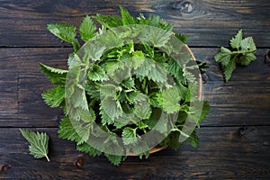 Fresh stinging nettle leaves