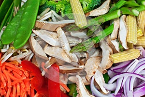 Fresh stir fry vegetables. Close up.