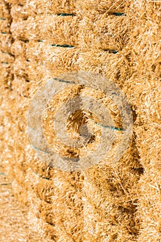 Fresh straw hay bales