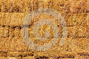 Fresh straw hay bales background