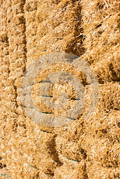 Fresh straw hay bales background