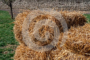 Fresh straw hay bales, food for cattle