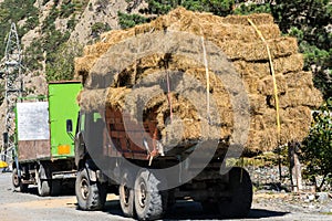 Fresh straw hay bales on the trailer