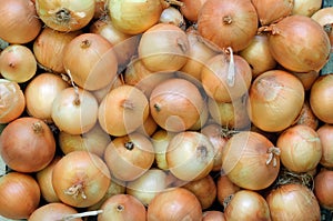 Fresh straw yellow onions on the market