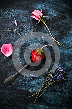 Fresh strawberrie in spoon and some flowers around on dark blue and black background