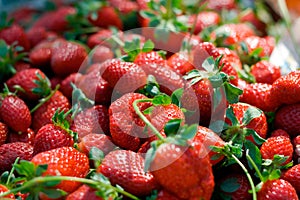 Fresh strawberries