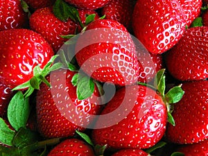 Fresh strawberries