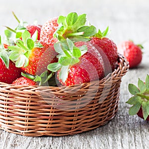 Fresh strawberries