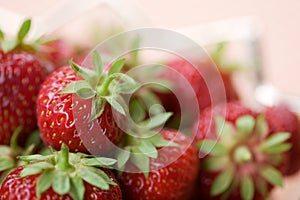 Fresh strawberries