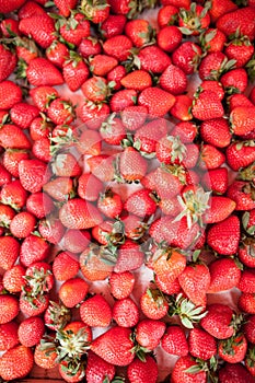 Fresh strawberries