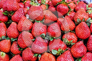 Fresh Strawberries