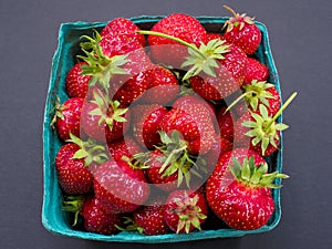 Fresh Strawberries