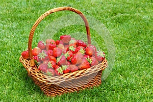 Fresh strawberries in a basket