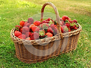 Fresh strawberries in basket