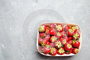 Fresh strawberries in a basket, red berry, only from a garden bed. sweet harvest. space for text, copyspace