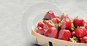 Fresh strawberries in a basket, red berry, only from a garden bed. sweet harvest. space for text, copyspace