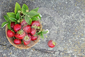 Fresh strawberries in a basket on rustic concret background top view. Healthy food on grey table mockup. Delicious, sweet, juicy