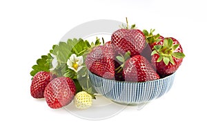 Fresh strawberries in bowl