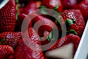 Fresh strawberries box