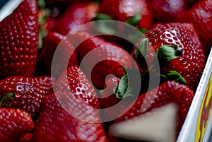 Fresh strawberries box