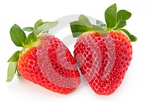 Fresh strawberries close up on white background.