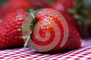 Fresh Strawberries Close Up