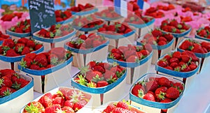Fresh strawberries farmer market in France, Europe. Italian strawberry. Street French market at Nice.