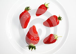 Fresh strawberries isolated on the white plate.