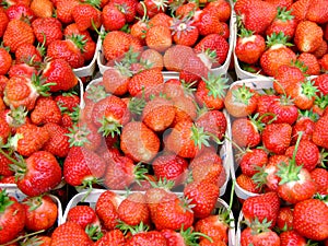 Fresh strawberries macro