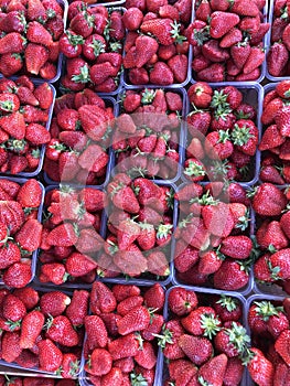 Fresh strawberries on the market