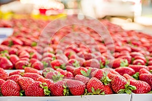 Fresh strawberries at the market