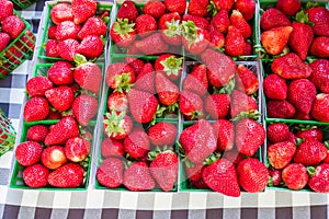 Fresh strawberries at the market