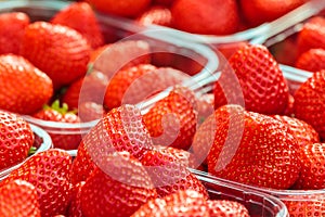Fresh strawberries on a market