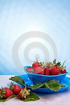 Fresh strawberries in mycelium on a wooden table in blue background