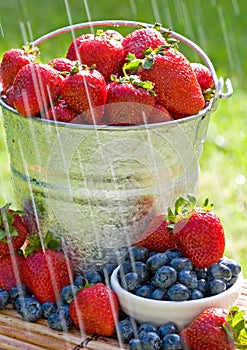 Fresh Strawberries in the Rain