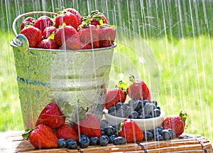 Fresh Strawberries in the Rain