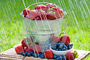 Fresh Strawberries in the Rain