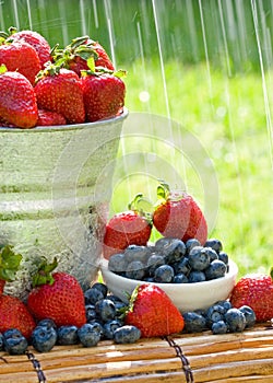 Fresh Strawberries in the Rain