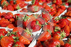 Fresh strawberries on regional market