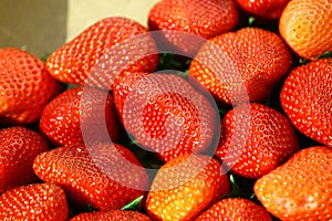 Fresh strawberries from the store