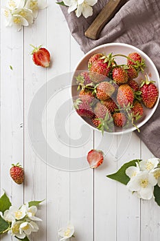 Fresh strawberries and tea with Jasmine flowers on a light background. Summer concept