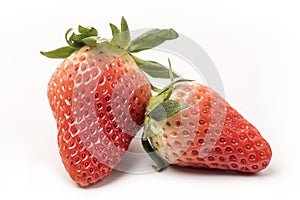 Fresh strawberries are on the white background photo